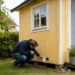 Skadedjur i friggebod